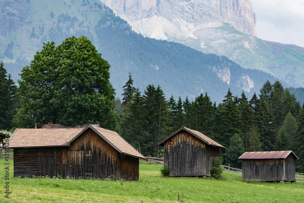 Typical Dolomites landscape in summer