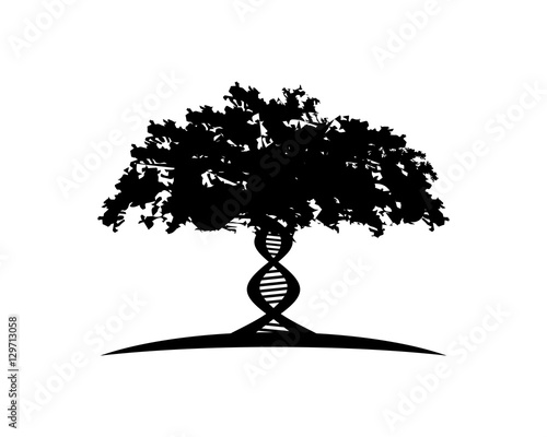 DNA helix tree