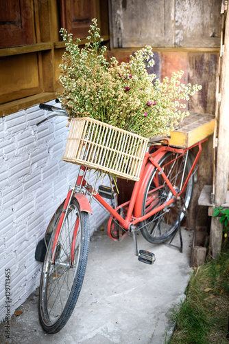 Old Vintage Bicycle