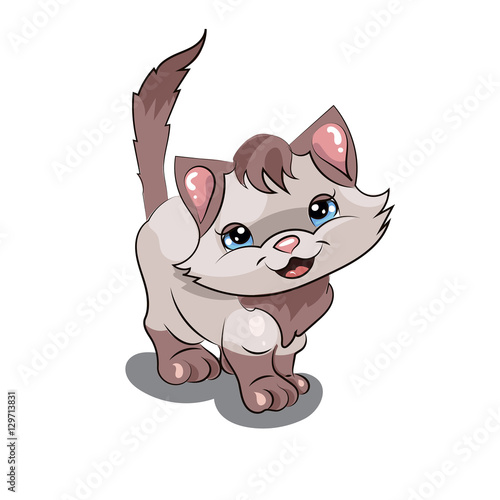 Кот