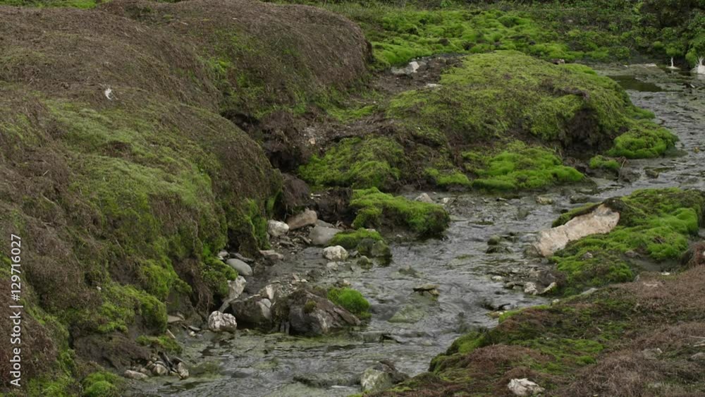 Small neon, lichen covered stream in the arctic Small neon, lichen covered stream in the arctic