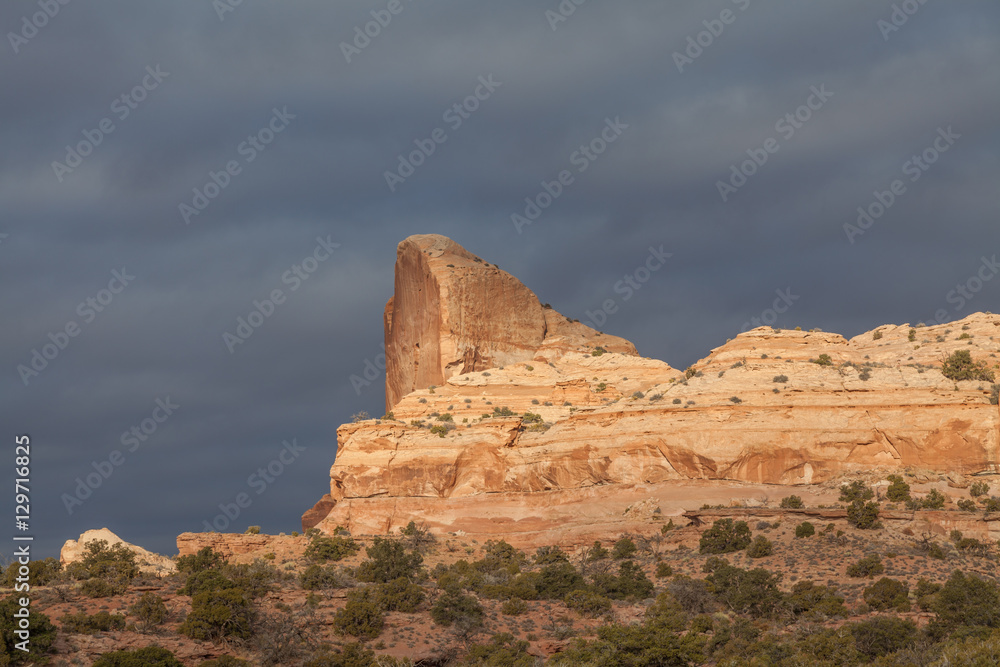 Scenic Canyonlands Landscape