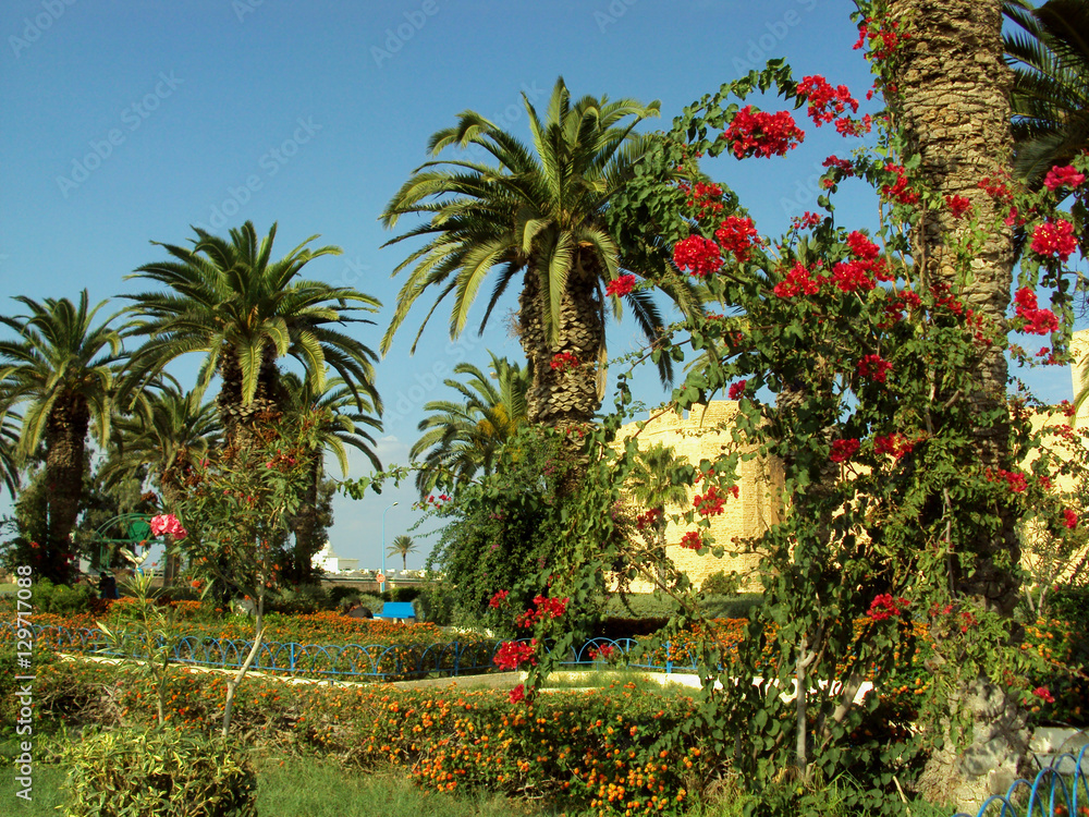Tunisia Nature