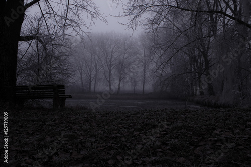 Moody Bench