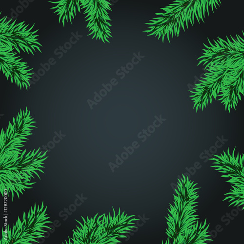 Fir tree branches frame medium medium