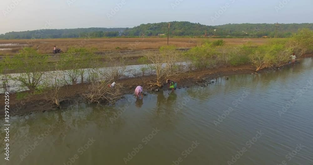 Indian women collect mussels in the river near of road Indian women collect mussels in the river near of road
