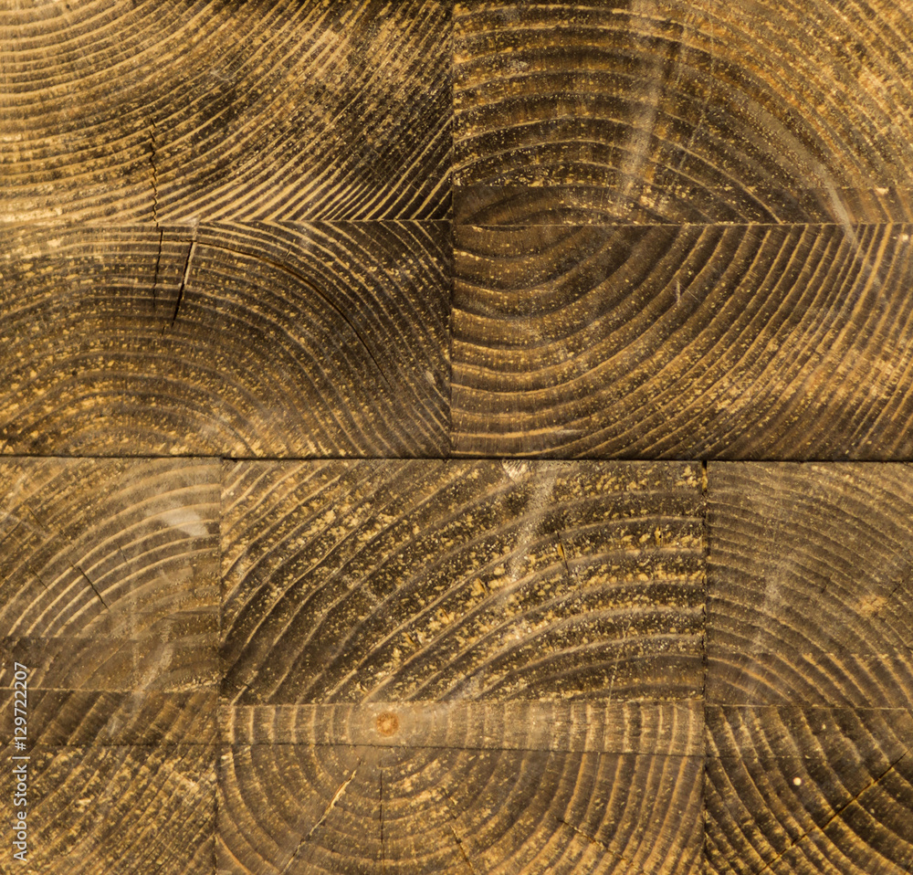 Fototapeta premium wood