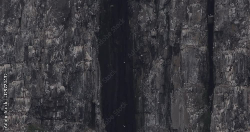 Bird Cliff with Massive Vertical Ravine and Birds Bird Cliff with Massive Vertical Ravine and Birds