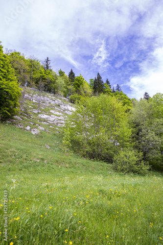 landscape of Jura mountain with blooming green meadow  Switzerland