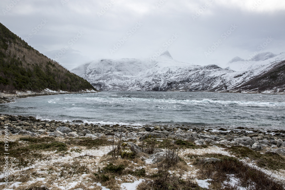 view of a Fjord in the winter wind, Elvfjorden Nordland Norway