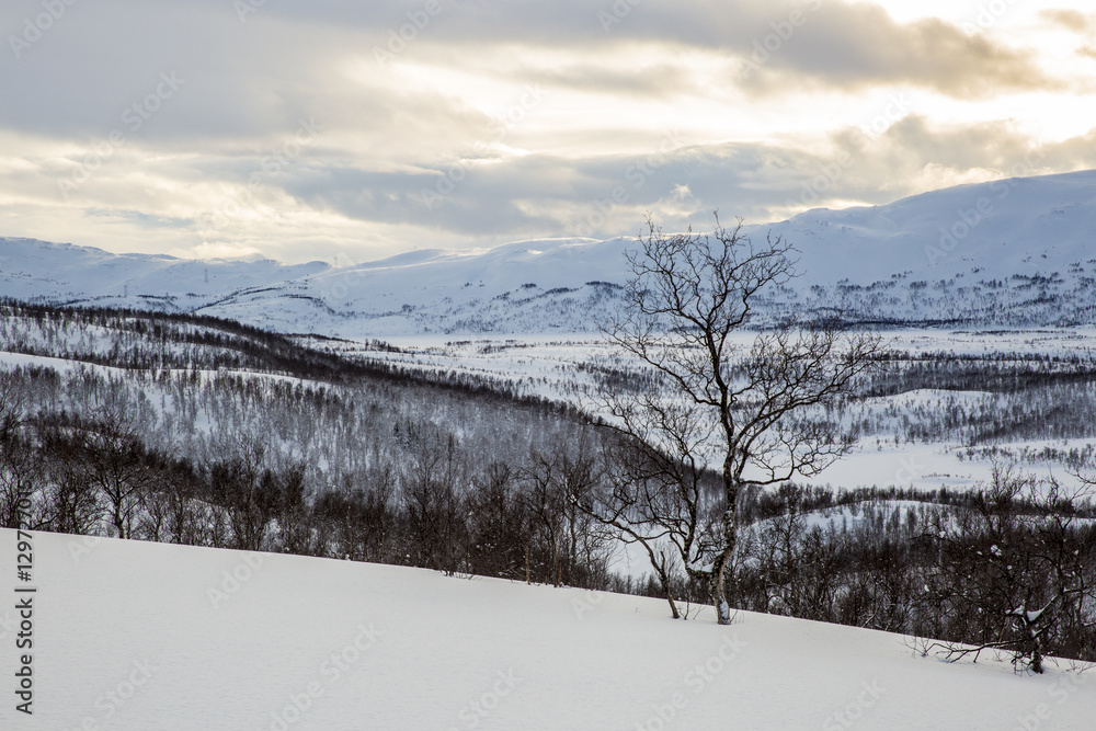 Snowy Norwegian mountain landscape, Nordland, Norway Snowy Norwegian mountain landscape, Nordland, Norway