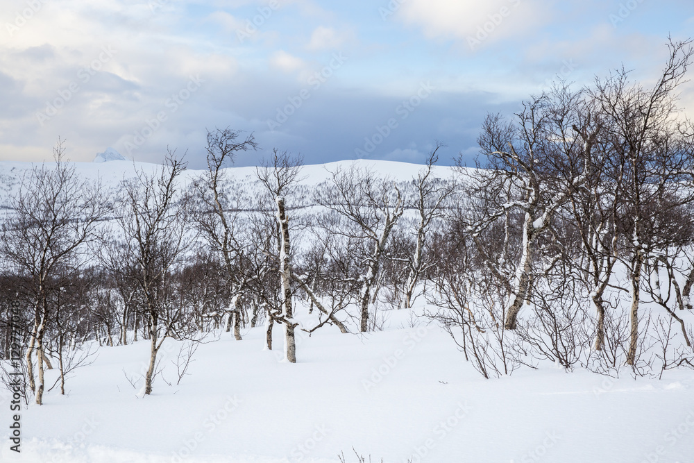 Snowy Norwegian mountain landscape, Nordland, Norway Snowy Norwegian mountain landscape, Nordland, Norway