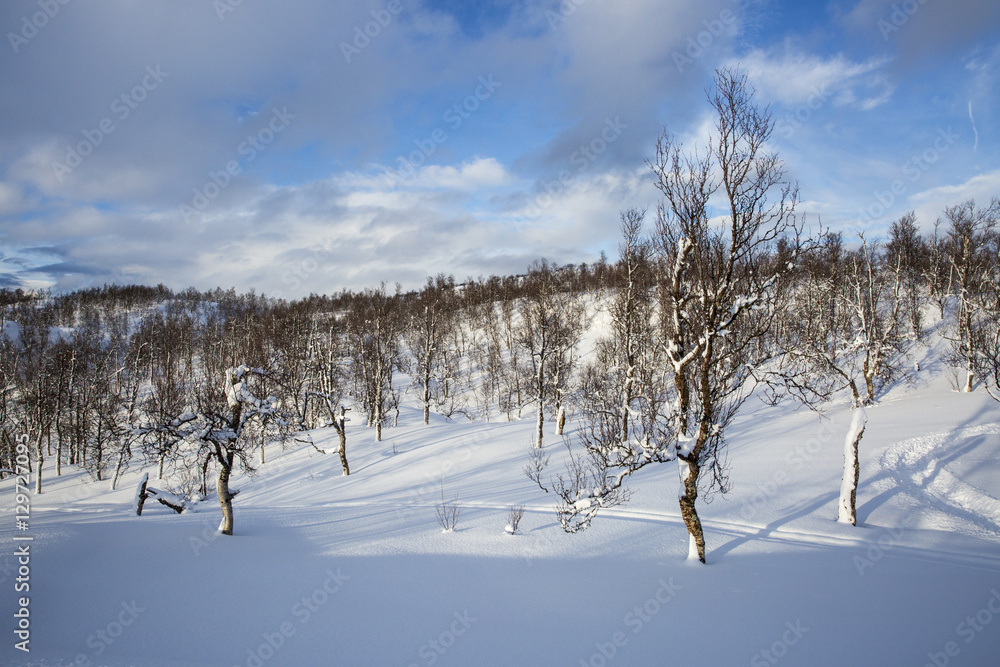 Snowy Norwegian mountain landscape, Nordland, Norway Snowy Norwegian mountain landscape, Nordland, Norway