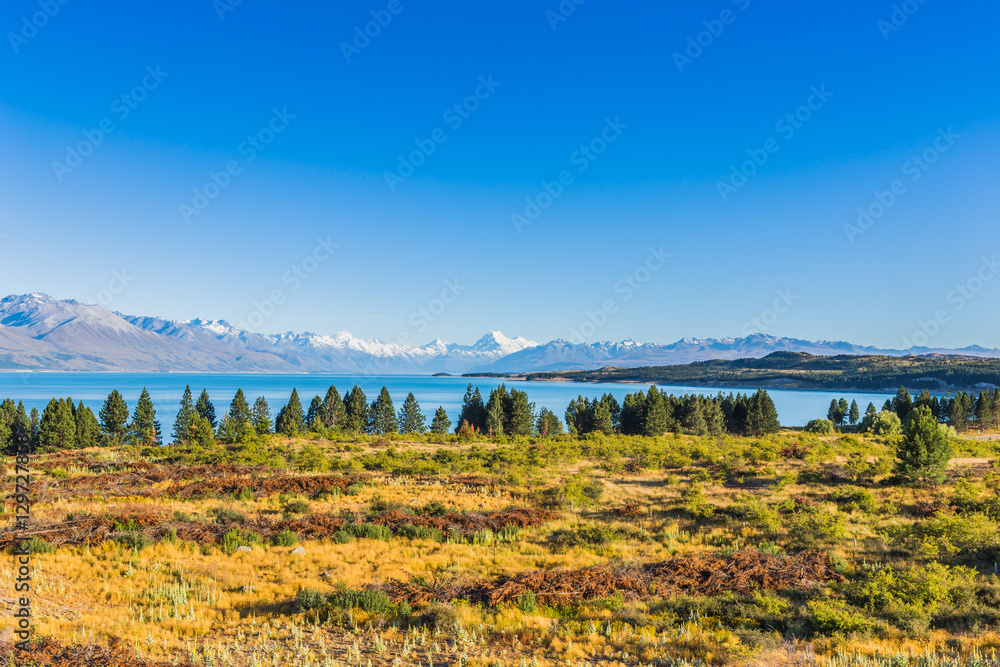Morning view of Mt Cook over Pukaki lake, the South Island of New Zealand