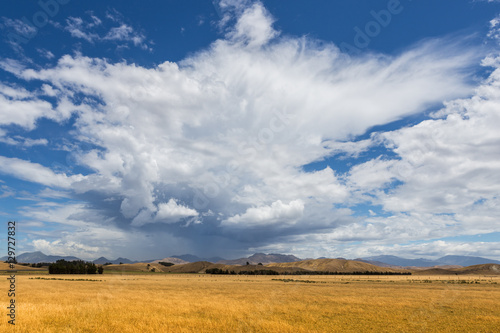 Dramatic clouds over the yellow field