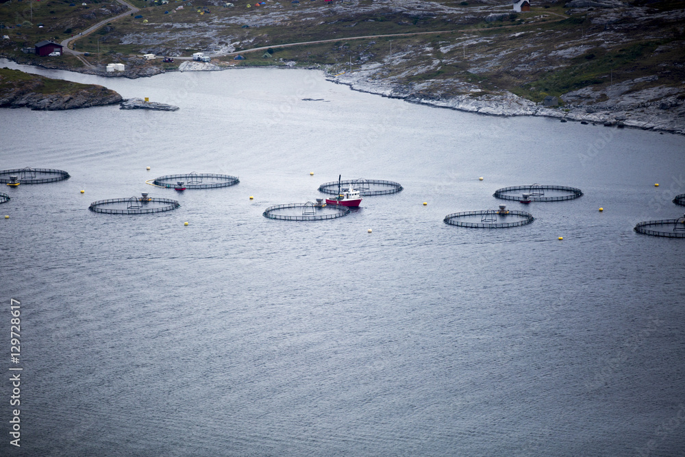 Obraz premium Norwegian landscape with fish farm in a fjord, taken during the Traenafestival, music festival taking place on the small island of Traena