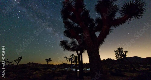 Joshua Tree National Park. Stargazing the Beautiful Night in this Desert Landscape. 