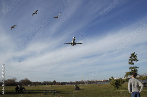 Bird Strike Airplane © Shawn
