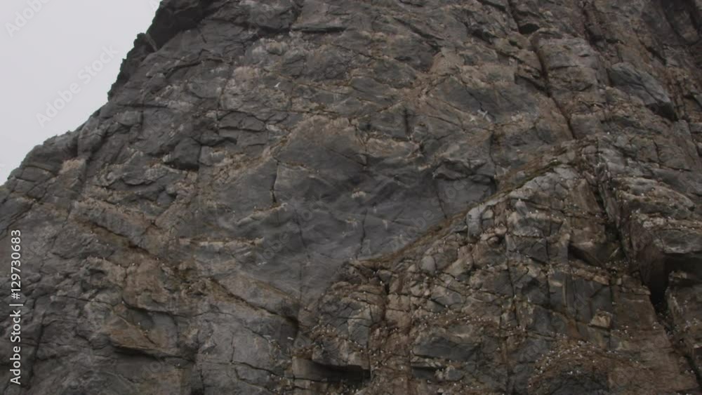 Slow motion - looking up at see bids flying near face of cliff Slow motion - looking up at see bids flying near face of cliff