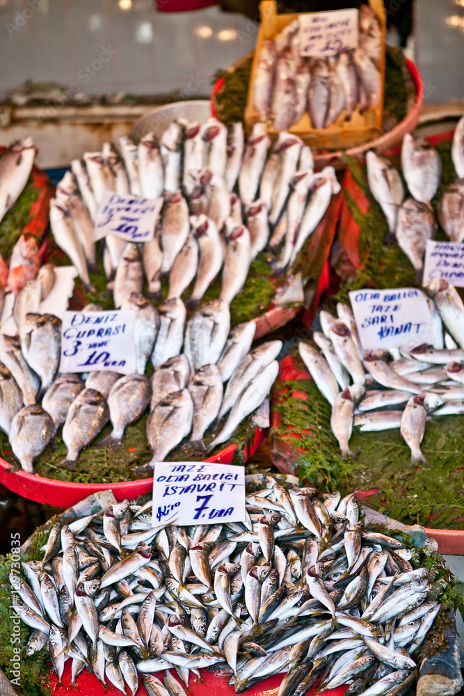 Fish shop Istanbul