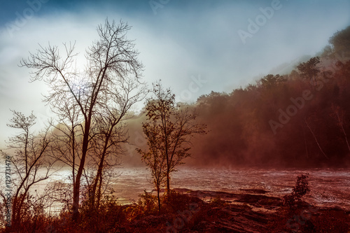 Foggy Morning