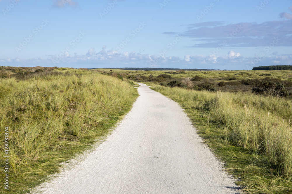 Cycling lane through the sand dune covered with beach grass, Ameland, The Netherlands