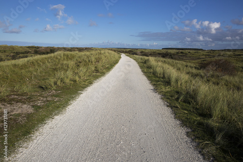 Cycling lane through the sand dune covered with beach grass  Ameland  The Netherlands