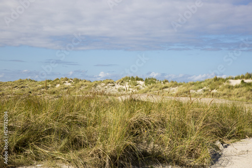 seaside landscape with sand dunes with grass , Ameland Island, The Netherlands