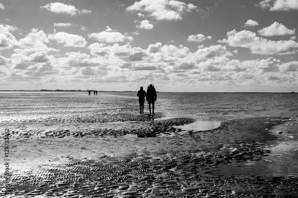 Black and white maritime landscape with reflection of clouds in low tide water and group of people trekking, Waddenzee, Friesland, The Netherlands