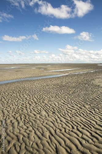 Maritime landscape with blue sky white clouds and pattern in the sand  Waddenzee - Wadden Sea  Friesland  The Netherlands