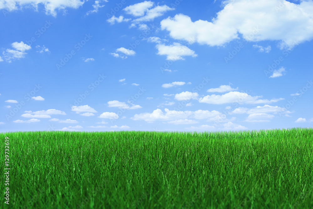 Grass with clipping PATH