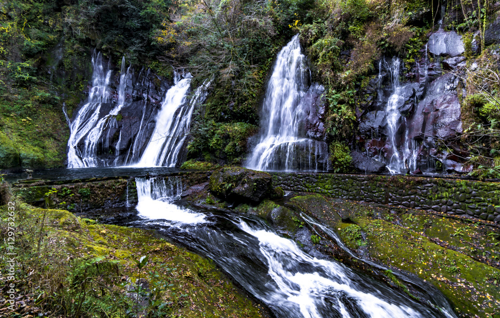 Obraz premium 白水の滝