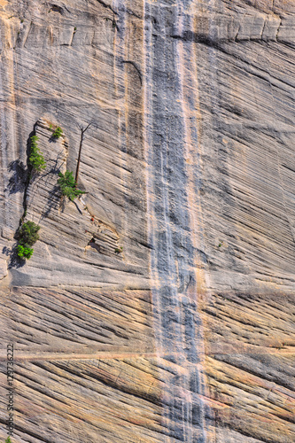 Εκτύπωση καμβά Biologic Geology