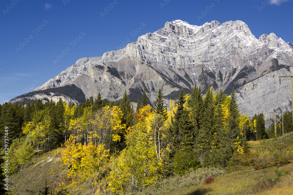 Mountain with fall color 
