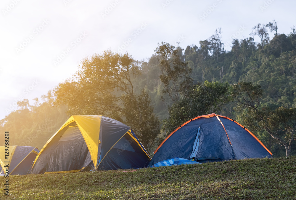 camping tent on field in national park 