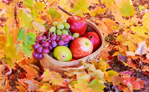 basket of apples and grapes on the green grass
