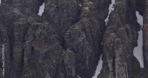 Wallpaper Mural Ledges Covered in Birds Nests on an Arctic Cliff Torontodigital.ca