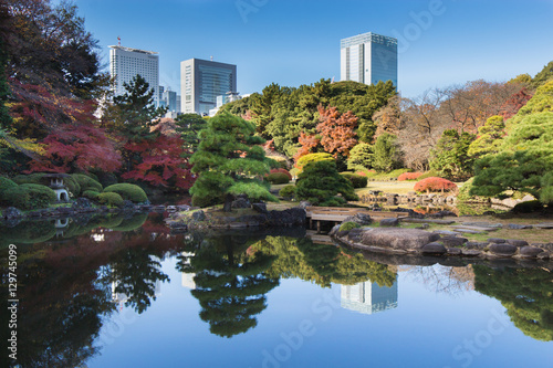 Japanese garden in Autumn with Tokyo city skyline in background