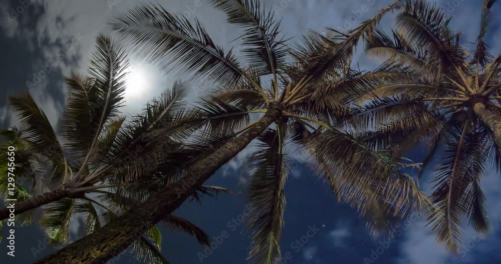 Moon Over Palm Trees. A Panning Tropical Cloudscape. Moon Over Palm Trees. A Panning Tropical Cloudscape.