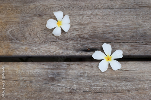 White and yellow frangipani on wooden background. photo