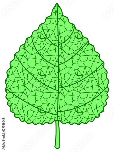 Plant leaf icon