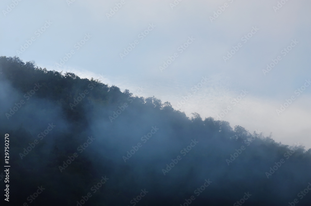 mist floating and cover mountain slope