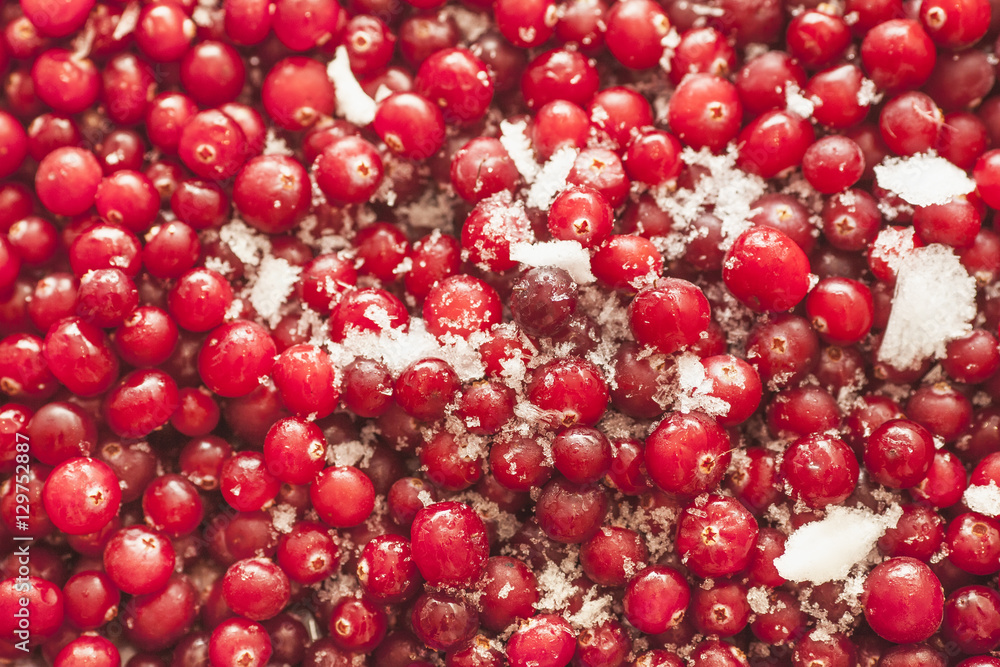 Iced cranberries for background. Selective focus Iced cranberries for background. Selective focus