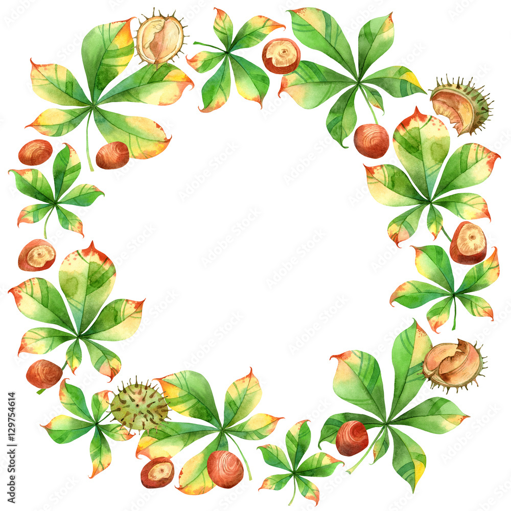 Fototapeta premium Watercolor autumn wreath with chestnut on white background