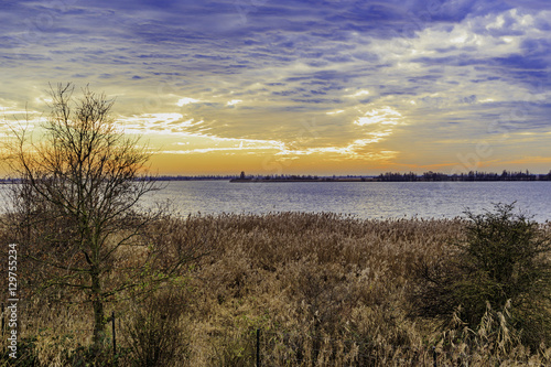 Oostvaardersplassen in Holland