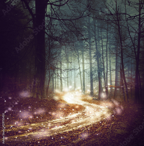 Fantasy forest road with firefly lights. Magic colored woodland fairy tale. Dreamy foggy forest tree with winding road background.