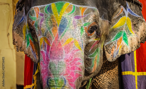 Geschmueckter Elefant in Indien
