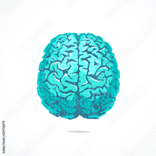 Creative concept of the human brain