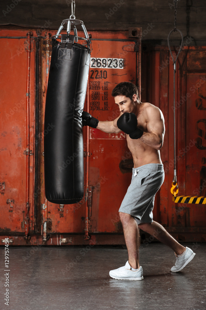 Picture of handsome young boxer training in a gym