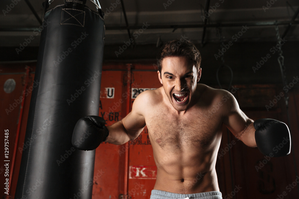 Screaming agressive boxer training in a gym with punchbag